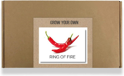 CYBEXIS Fast Germination Fire Ring Hot Red Chilli Seeds2400 Seeds Seed(2400 per packet)