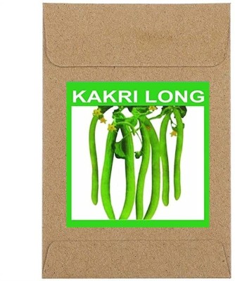 CYBEXIS Guarenteed Germination Kakri Long/Lomg Melon Seeds1000 Seeds Seed(1000 per packet)