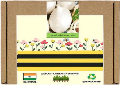 CYBEXIS F1 Hybrid White Sweet Onion Seeds2000 Seeds Seed(2000 per packet)