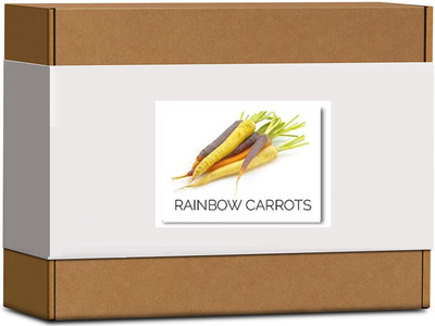 CYBEXIS High Germination Rainbow Carrot Seeds1000 Seeds Seed(1000 per packet)