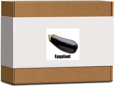 CYBEXIS High Germination Purple Long Brinjal Seeds600 Seeds Seed(600 per packet)