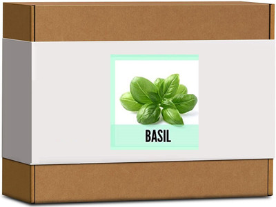 CYBEXIS High Germination Sweet Basil Seeds2000 Seeds Seed(2000 per packet)
