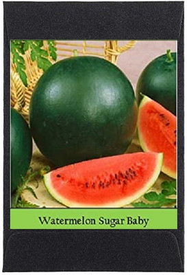 CYBEXIS Heirloom Water Melon Sugar baby Seeds100 Seeds Seed(100 per packet)