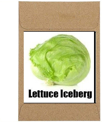 CYBEXIS Guarenteed Germination Lettuce Iceberg Seeds2000 Seeds Seed(2000 per packet)