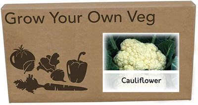 CYBEXIS Heirloom Cauliflower Year Round Seeds2000 Seeds Seed(2000 per packet)