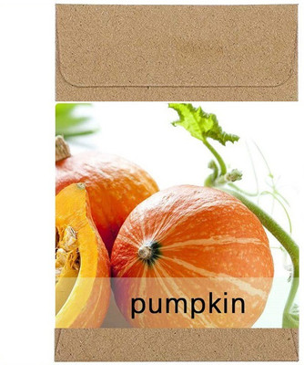 CYBEXIS Guarenteed Germination Orange Pumpkin Seeds100 Seeds Seed(100 per packet)