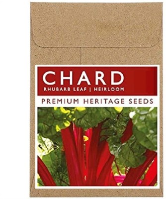 CYBEXIS Fast Germination Swiss Chard Rhubarb Leaf Seeds500 Seeds Seed(500 per packet)