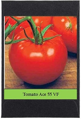 CYBEXIS Heirloom Tomato Ace Seeds500 Seeds Seed(500 per packet)