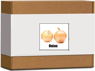CYBEXIS High Germination White Onion Seeds4000 Seeds Seed(4000 per packet)