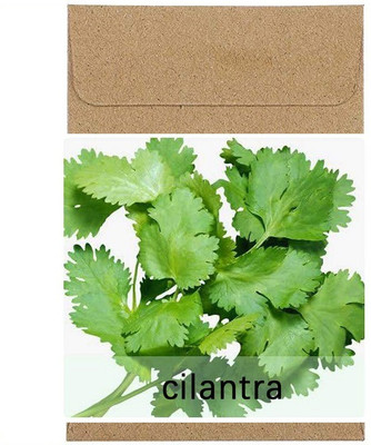CYBEXIS Guarenteed Germination Coriander Seeds2800 Seeds Seed(2800 per packet)