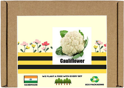 CYBEXIS F1 Hybrid Cauliflower Seeds500 Seeds Seed(500 per packet)