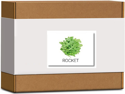 CYBEXIS High Germination Rocket Seeds2800 Seeds Seed(2800 per packet)