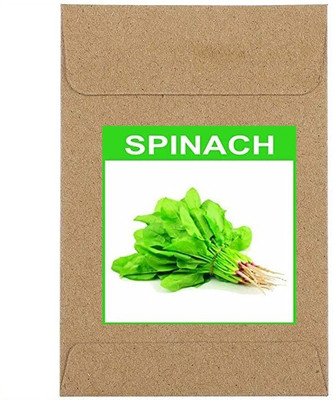 CYBEXIS Guarenteed Germination Spinach Seeds2000 Seeds Seed(2000 per packet)