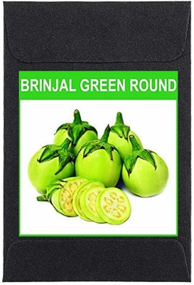 CYBEXIS Heirloom Brinjal Green Round Seeds2400 Seeds Seed(2400 per packet)