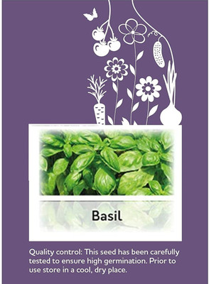 CYBEXIS F1 Hybrid Basil Sweet Genovese Seeds2000 Seeds Seed(2000 per packet)
