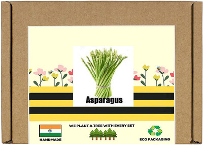 CYBEXIS F1 Hybrid Asparagus Seeds400 Seeds Seed(400 per packet)