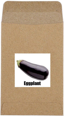 CYBEXIS Brinjal Seed(1200 per packet)