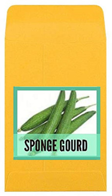 CYBEXIS Guarenteed Germination Sponge Gourd Seeds-100 Seeds Seed(100 per packet)