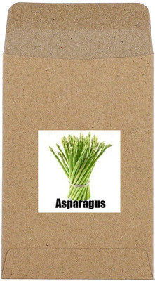 CYBEXIS Hybrid Asparagus Seeds200 Seeds Seed(200 per packet)