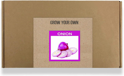 CYBEXIS Fast Germination Red Onion Seeds1000 Seeds Seed(1000 per packet)