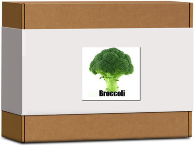 CYBEXIS High Germination Green Broccoli Seeds500 Seeds Seed(500 per packet)