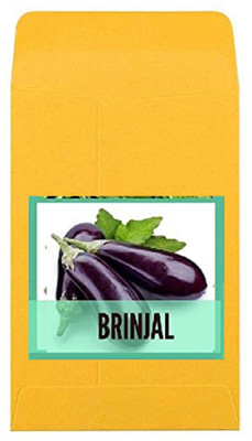CYBEXIS Guarenteed Germination Purple Brinjal Seeds600 Seeds Seed(600 per packet)