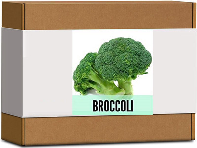CYBEXIS High Germination Green Broccoli Seeds2000 Seeds Seed(2000 per packet)
