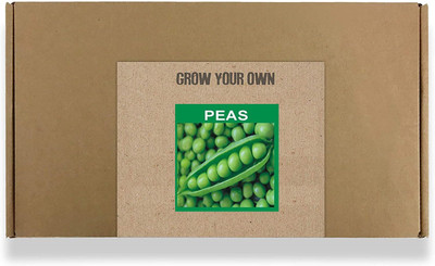 CYBEXIS Fast Germination Garden Peas Seeds-200 Seeds Seed(200 per packet)