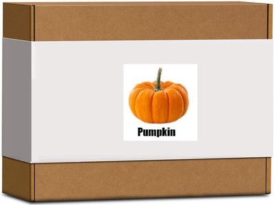CYBEXIS High Germination Pumpkin Seeds400 Seeds Seed(400 per packet)