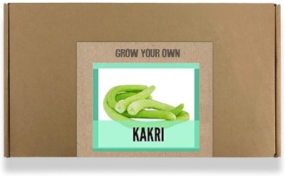 CYBEXIS Fast Germination Kakri/Long Melon Seeds2000 Seeds Seed(2000 per packet)