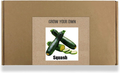 CYBEXIS Fast Germination Black Beauty Zucchini Seeds-50 Seeds Seed(50 per packet)