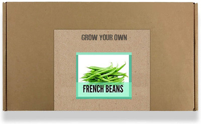 CYBEXIS Fast Germination French Beans Seeds200 Seeds Seed(200 per packet)