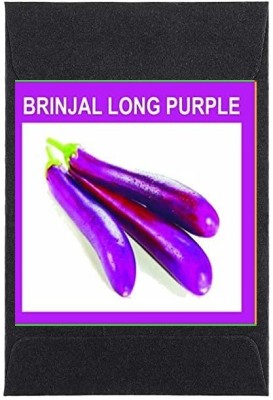 CYBEXIS Heirloom Brinjal Long Purple Seeds600 Seeds Seed(600 per packet)