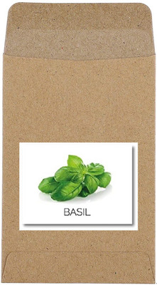 CYBEXIS Guarenteed Germination Basil Seeds4000 Seeds Seed(4000 per packet)