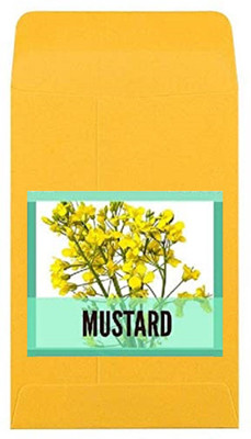 CYBEXIS Guarenteed Germination Mustard Seeds2000 Seeds Seed(2000 per packet)