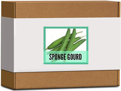CYBEXIS High Germination Sponge Gourd Seeds400 Seeds Seed(400 per packet)