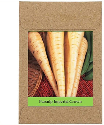CYBEXIS Guarenteed Germination Parsnip Imperial Crown Seeds500 Seeds Seed(500 per packet)