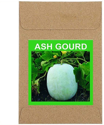 CYBEXIS Guarenteed Germination Ash Gourd Seeds800 Seeds Seed(800 per packet)