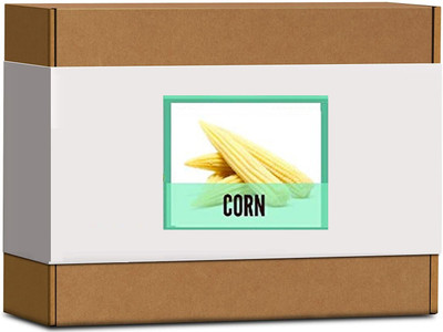 CYBEXIS High Germination Corn Seeds2000 Seeds Seed(2000 per packet)