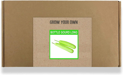 CYBEXIS Fast Germination Bottlegourd Long Seeds400 Seeds Seed(400 per packet)