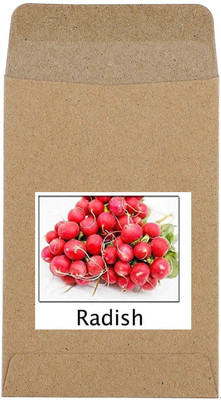 CYBEXIS Hybrid Round Radish Seeds2400 Seeds Seed(2400 per packet)