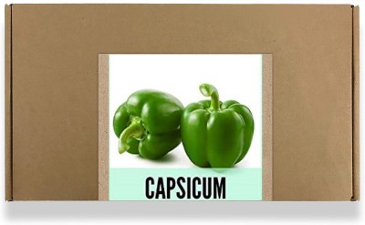 CYBEXIS Fast Germination Green Capsicum Seeds2400 Seeds Seed(2400 per packet)