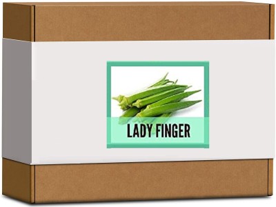 CYBEXIS High Germination Lady finger,Okra,Bhendi Seeds800 Seeds Seed(800 per packet)