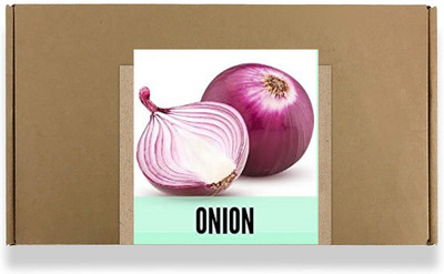 CYBEXIS High Germination Red Onion Seeds1000 Seeds Seed(1000 per packet)
