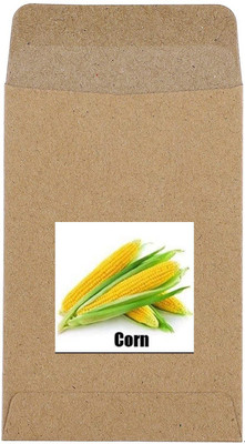 CYBEXIS Hybrid Yellow Sweet Corn Seeds2000 Seeds Seed(2000 per packet)