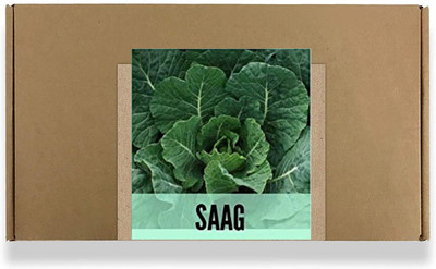 CYBEXIS Fast Germination Saag Seeds1400 Seeds Seed(1400 per packet)