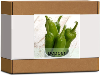 CYBEXIS High Germination Green Pepper Chilli Seeds600 Seeds Seed(600 per packet)