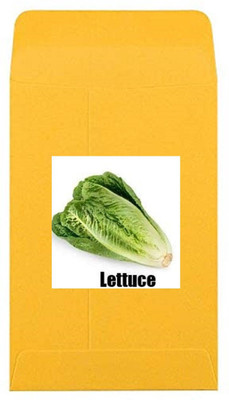 CYBEXIS Heirloom Green Lettuce Seeds2000 Seeds Seed(2000 per packet)