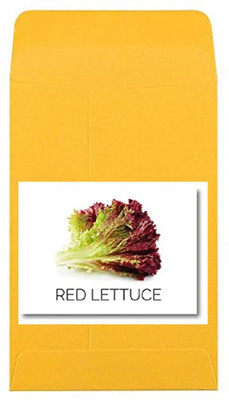 CYBEXIS Heirloom Red Lettuce Seeds1000 Seeds Seed(1000 per packet)