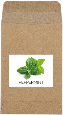 CYBEXIS Guarenteed Germination Peppermint Seeds-350 Seeds Seed(350 per packet)